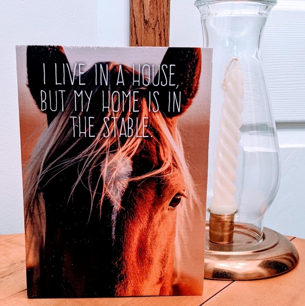 🥳🐞Nice small wooden picture of horse